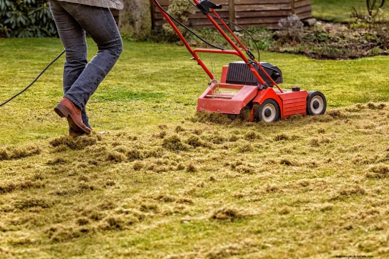 Harley Rake vs. Rockhound: Choosing the Right Lawn Rake
