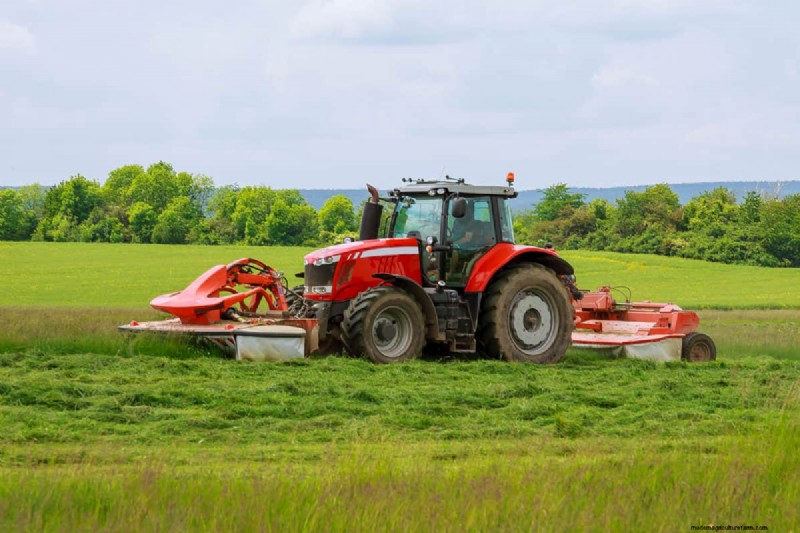 Harley Rake vs. Rockhound: Choosing the Right Lawn Rake
