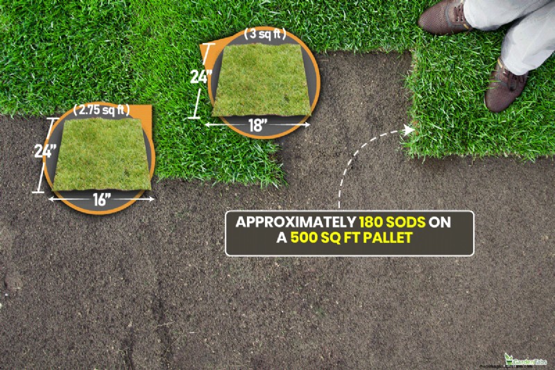 Sod Pallet Sizes: Calculate Your Lawn Project Needs