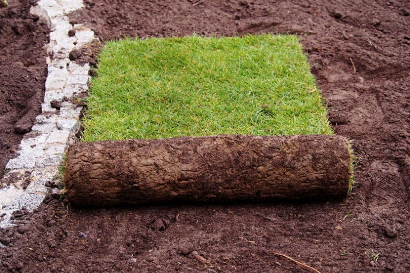 Sod Pallet Sizes: Calculate Your Lawn Project Needs