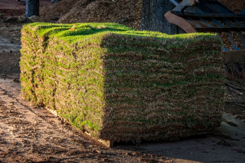 Sod Pallet Sizes: Calculate Your Lawn Project Needs