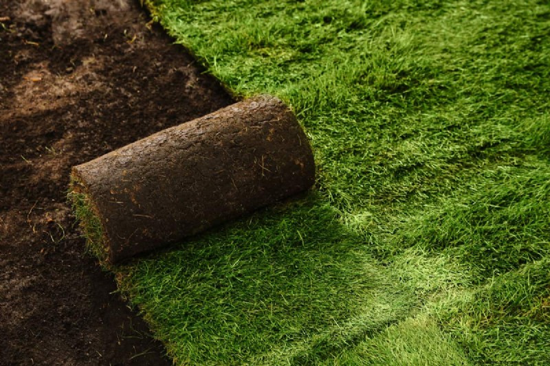 Sod Pallet Sizes: Calculate Your Lawn Project Needs