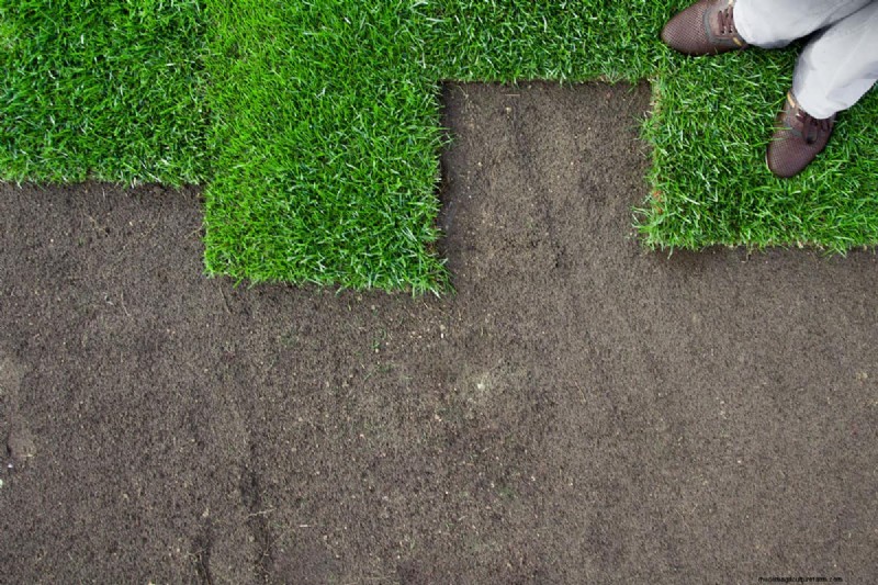 Sod Pallet Sizes: Calculate Your Lawn Project Needs