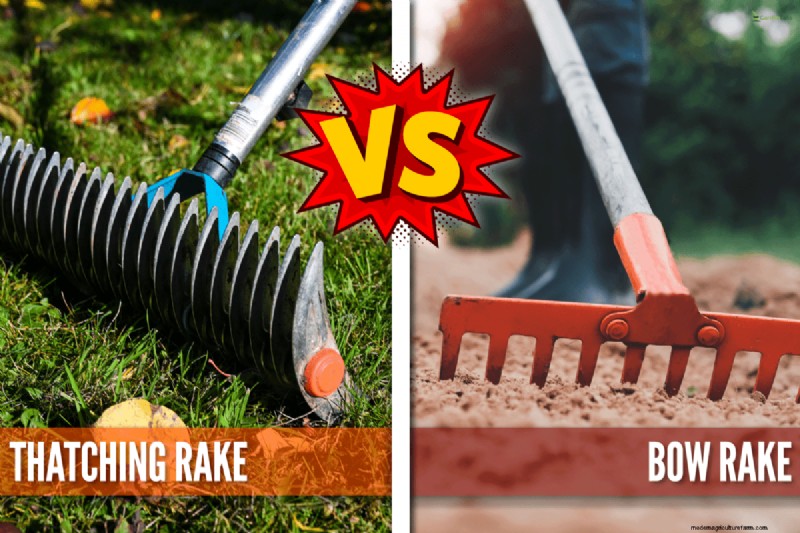 Thatching Rake vs. Bow Rake: Choosing the Right Rake for Your Lawn