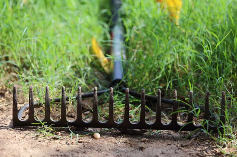 Thatching Rake vs. Bow Rake: Choosing the Right Rake for Your Lawn