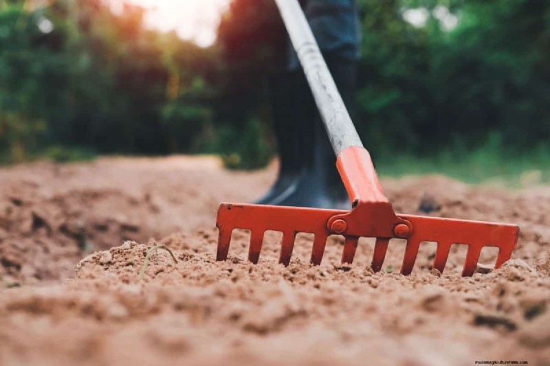 Thatching Rake vs. Bow Rake: Choosing the Right Rake for Your Lawn