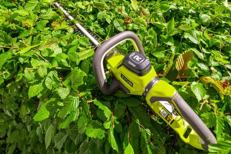 Ryobi Hedge Trimmer: A Comprehensive Step-by-Step Guide