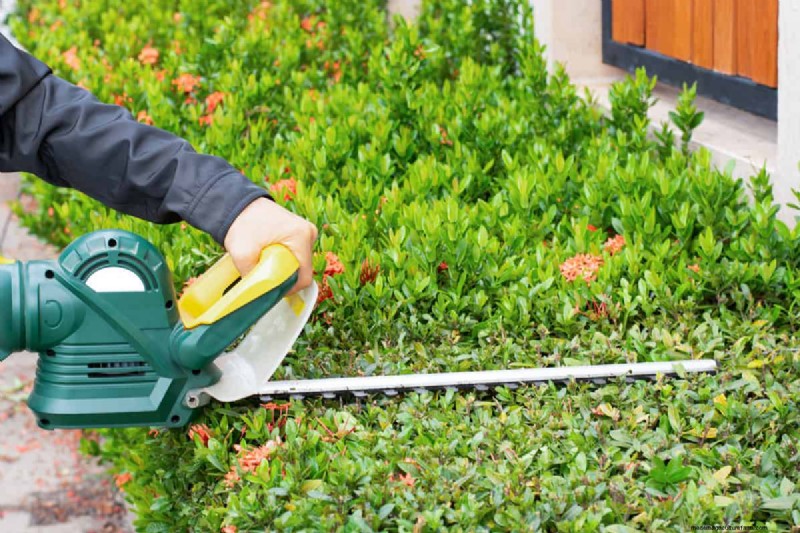 Ryobi Hedge Trimmer: A Comprehensive Step-by-Step Guide
