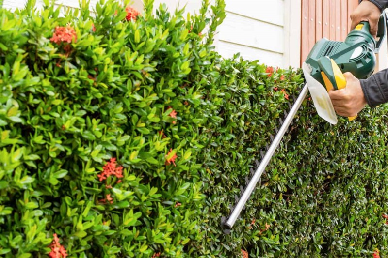Ryobi Hedge Trimmer: A Comprehensive Step-by-Step Guide