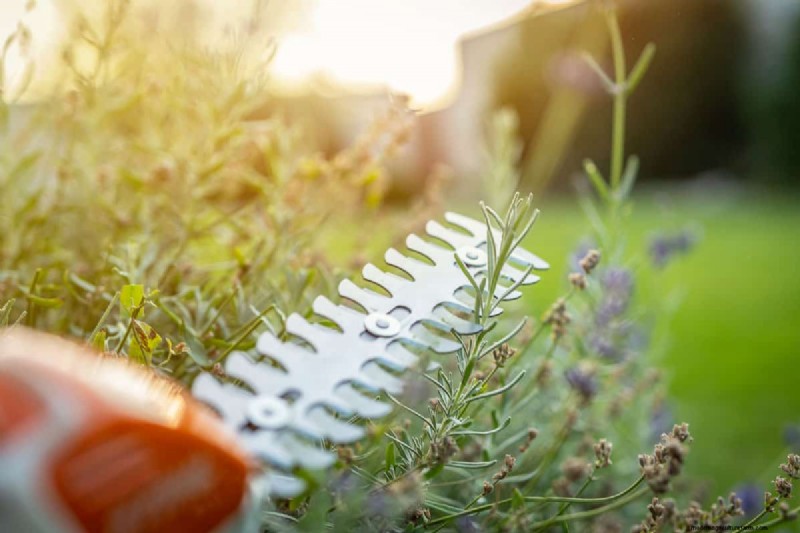 Ryobi Hedge Trimmer: A Comprehensive Step-by-Step Guide