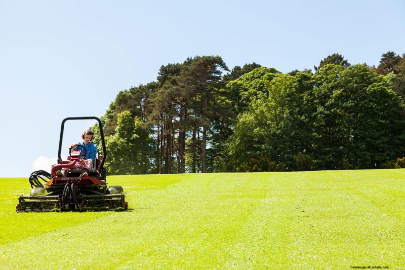 Troubleshooting: Why Won t My Toro Riding Mower Move? (Solutions & Fixes)