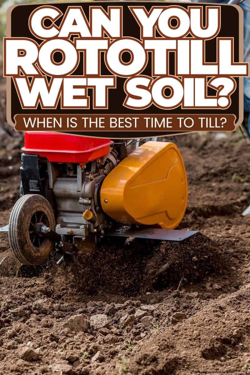 Rototilling Wet Soil: Is It Okay? Best Tilling Practices