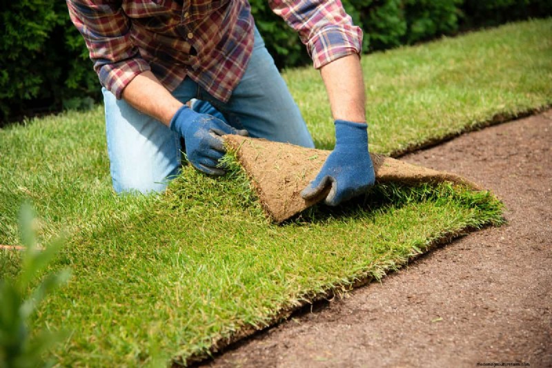 Fixing a Bad Sod Installation: A Comprehensive Guide