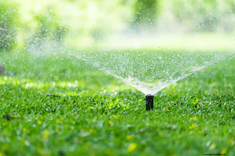 Fixing a Bad Sod Installation: A Comprehensive Guide