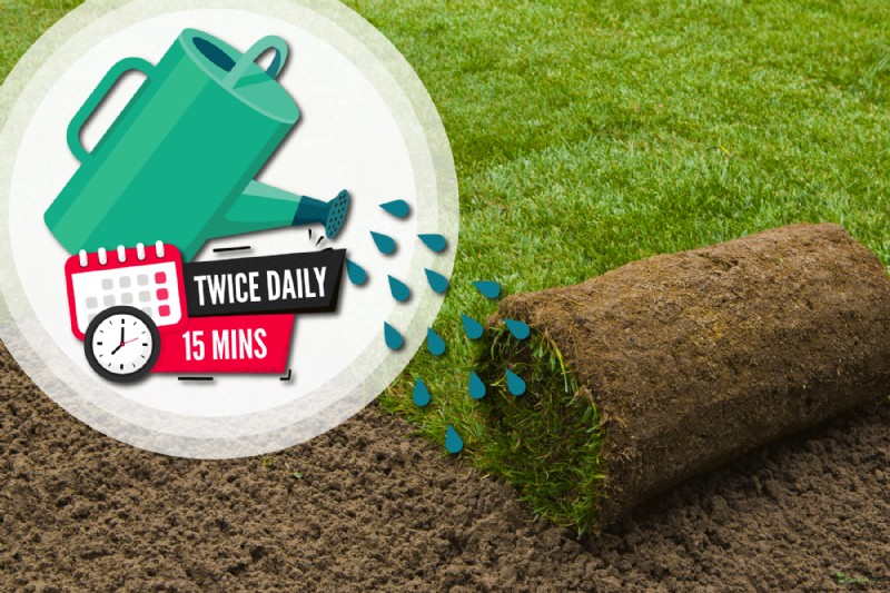 Fixing a Bad Sod Installation: A Comprehensive Guide