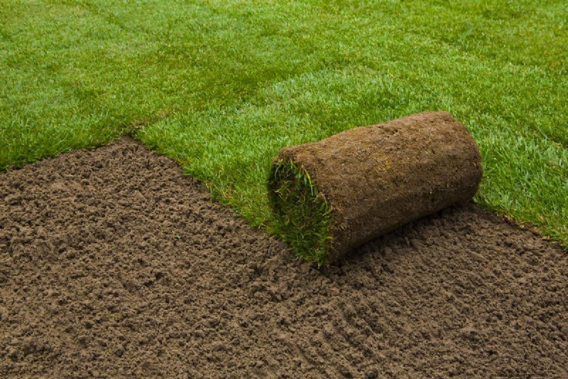 Fixing a Bad Sod Installation: A Comprehensive Guide