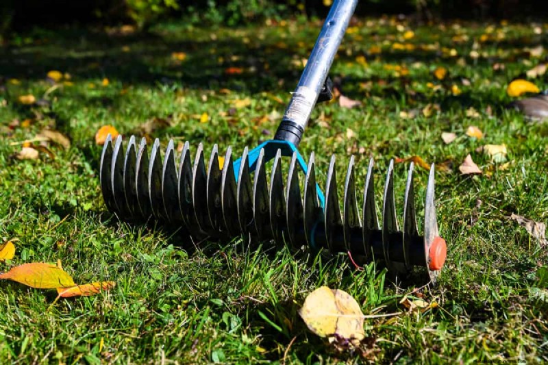 Craftsman Thatching Rake: A Complete Step-by-Step Guide for Lawn Care