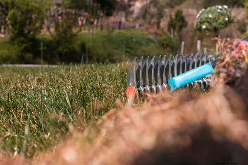 Craftsman Thatching Rake: A Complete Step-by-Step Guide for Lawn Care