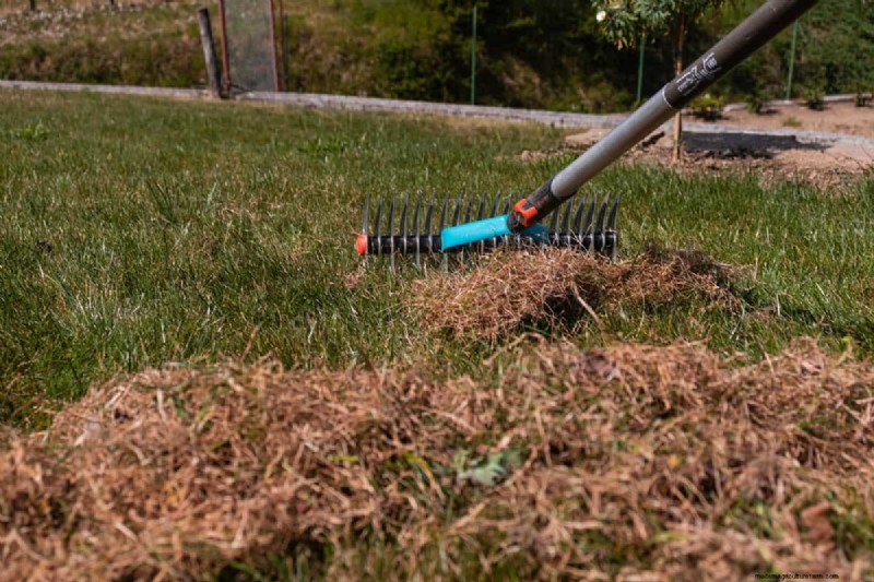 Craftsman Thatching Rake: A Complete Step-by-Step Guide for Lawn Care