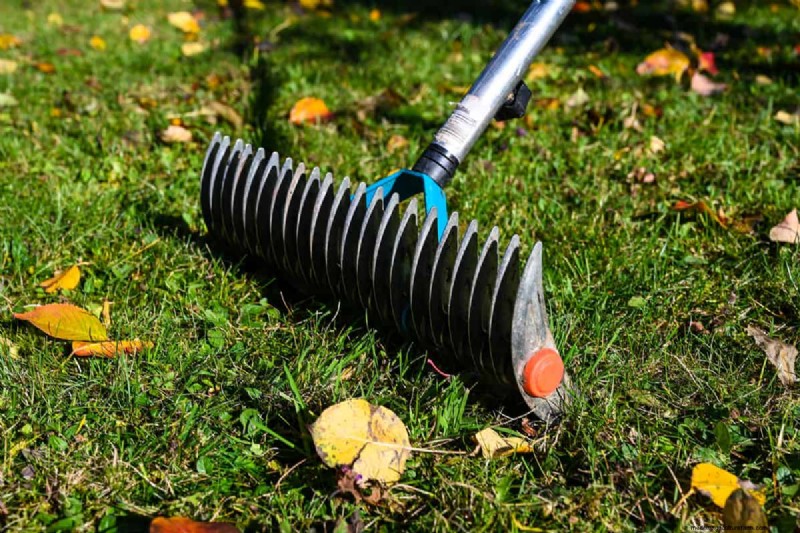 Craftsman Thatching Rake: A Complete Step-by-Step Guide for Lawn Care