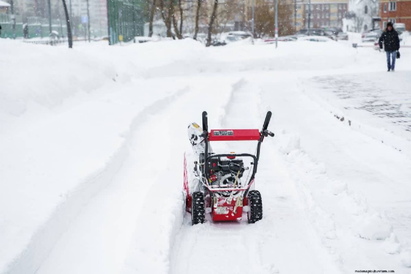 Troy-Bilt vs. Toro Snow Blowers: A Comprehensive Comparison