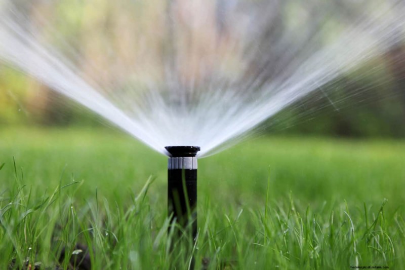 Hunter Sprinkler Head Replacement: A Complete Step-by-Step Guide