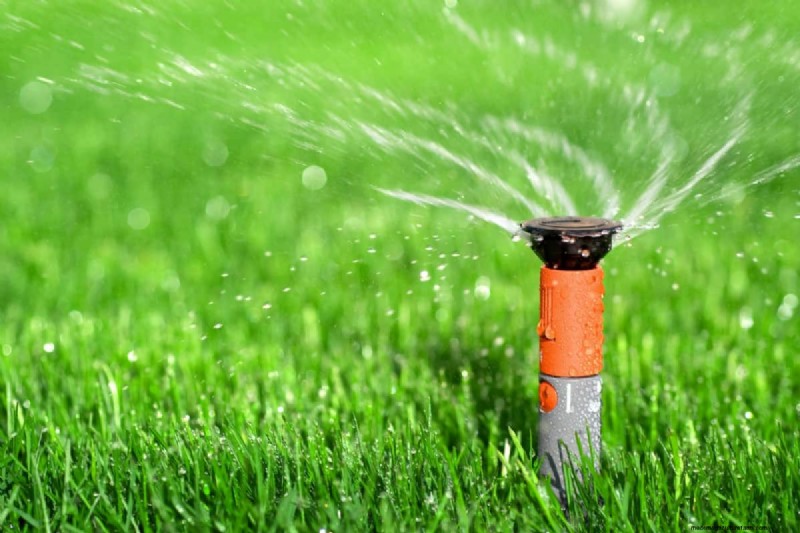 Hunter Sprinkler Head Replacement: A Complete Step-by-Step Guide