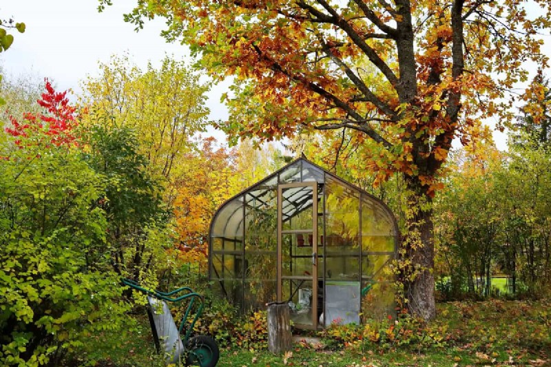 Winterizing Drip Irrigation: Protect Your System from Freezing