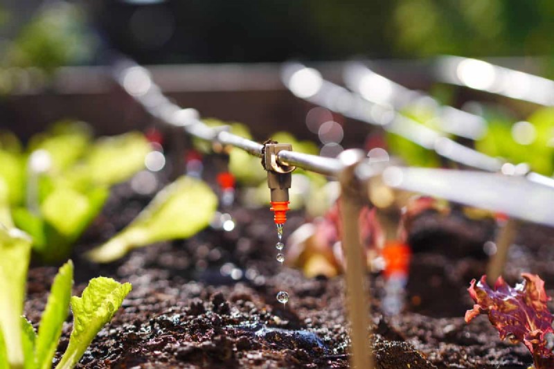 Winterizing Drip Irrigation: Protect Your System from Freezing
