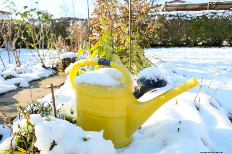 Winterizing Drip Irrigation: Protect Your System from Freezing
