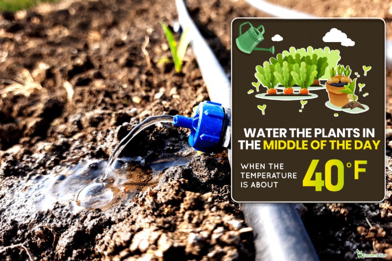 Winterizing Drip Irrigation: Protect Your System from Freezing