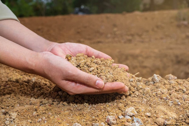 Tiller Comparison: Tarter vs. King Kutter - Pros, Cons & Differences