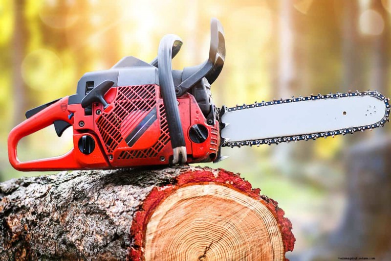 Fixing a Broken Chainsaw Tooth: Filing, Replacement & Rebuilding Guide
