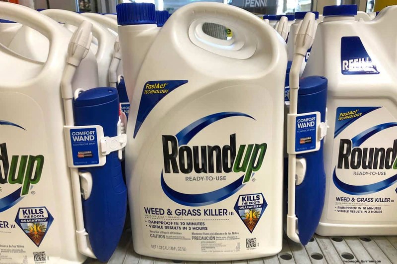 Clethodim vs. Glyphosate for Brassicas: A Comprehensive Guide
