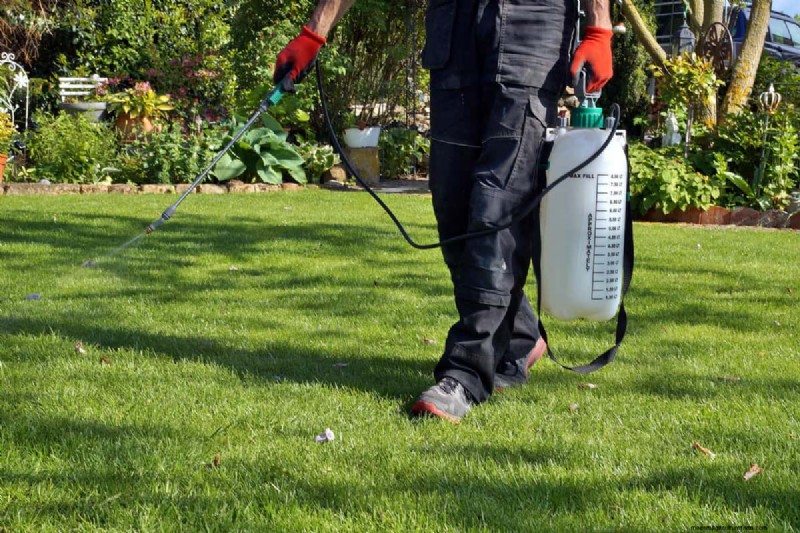 Clethodim vs. Glyphosate for Brassicas: A Comprehensive Guide