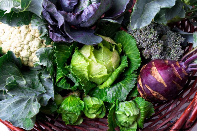 Clethodim vs. Glyphosate for Brassicas: A Comprehensive Guide