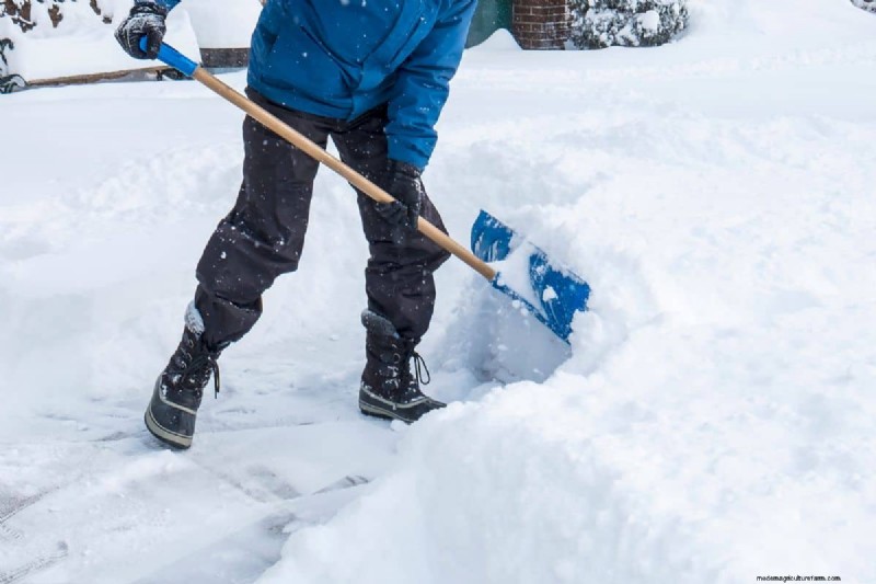 Shoveling Snow into the Street: Is It Legal? - [Your Brand Name]