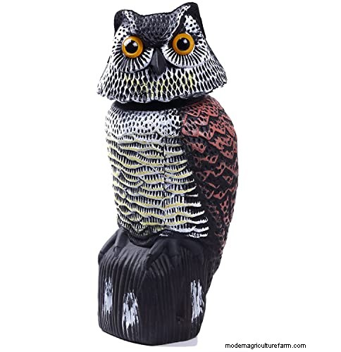 Protecting Pets from Hawks: Do Wind Chimes Really Work?