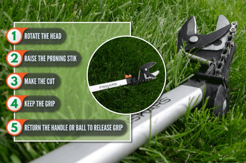 Fiskars Tree Pruner Guide: Step-by-Step Instructions & Tips
