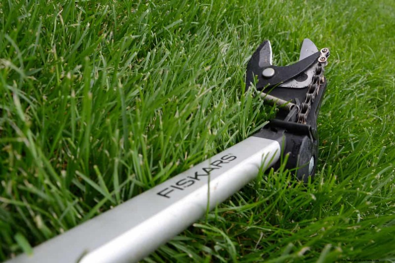 Fiskars Tree Pruner Guide: Step-by-Step Instructions & Tips