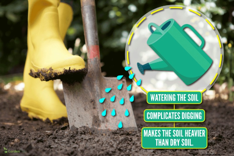 Digging in Wet Soil: Pros, Cons & Best Practices