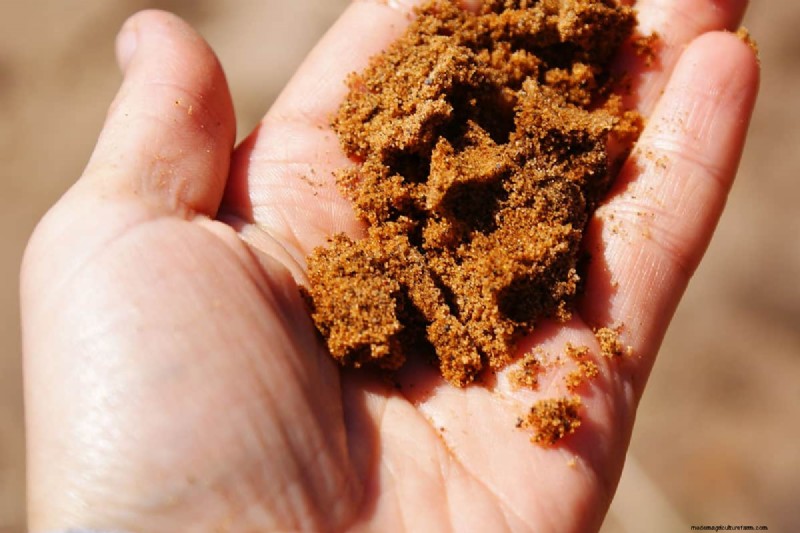 Digging in Wet Soil: Pros, Cons & Best Practices