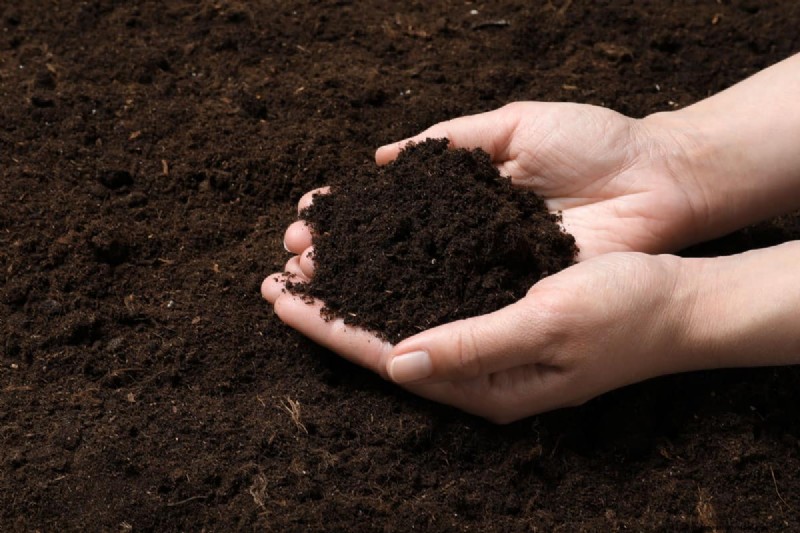 Digging in Wet Soil: Pros, Cons & Best Practices