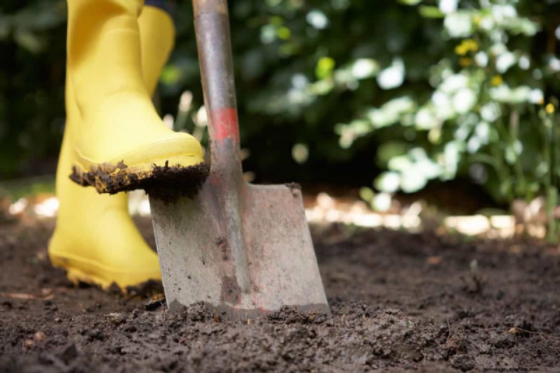 Digging in Wet Soil: Pros, Cons & Best Practices