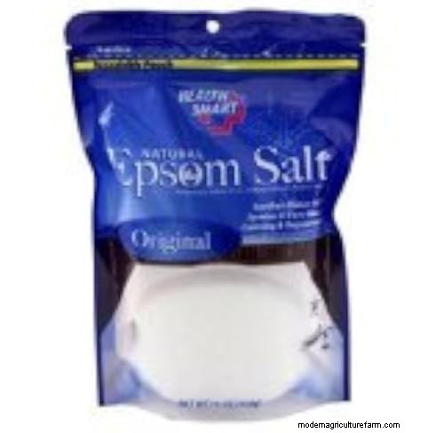 Effectively Eliminate Wisteria with Salt: A Guide