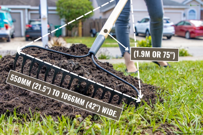Leveling a Lawn with a Landscape Rake: A Step-by-Step Guide
