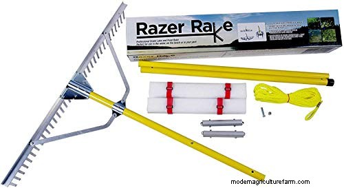 Leveling a Lawn with a Landscape Rake: A Step-by-Step Guide