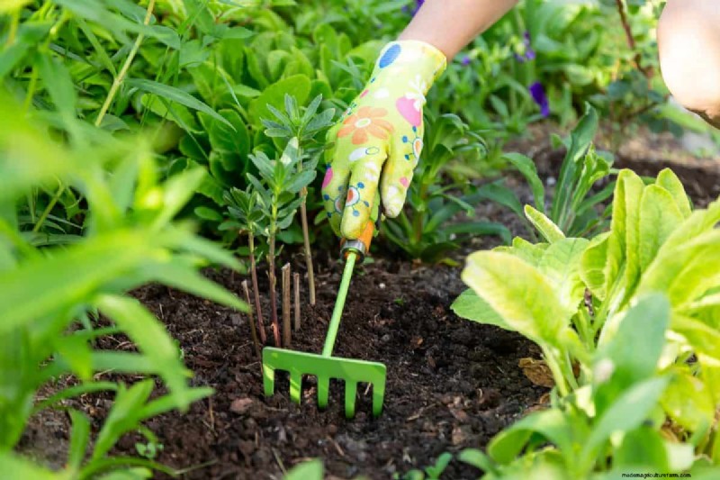 Leveling a Lawn with a Landscape Rake: A Step-by-Step Guide