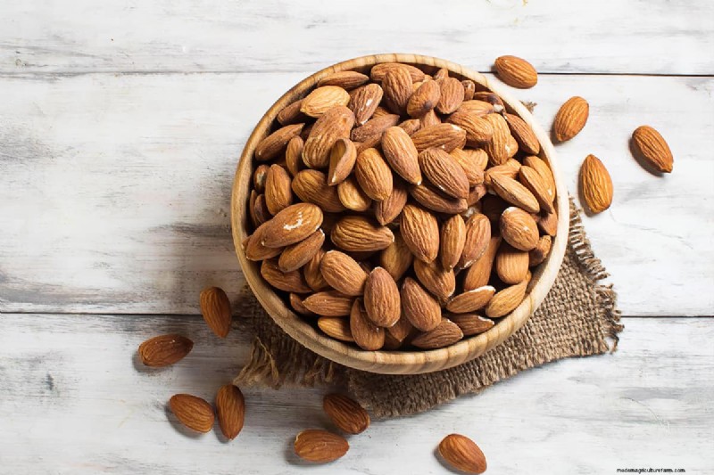 Growing Almond Trees from Seeds: A Comprehensive Guide