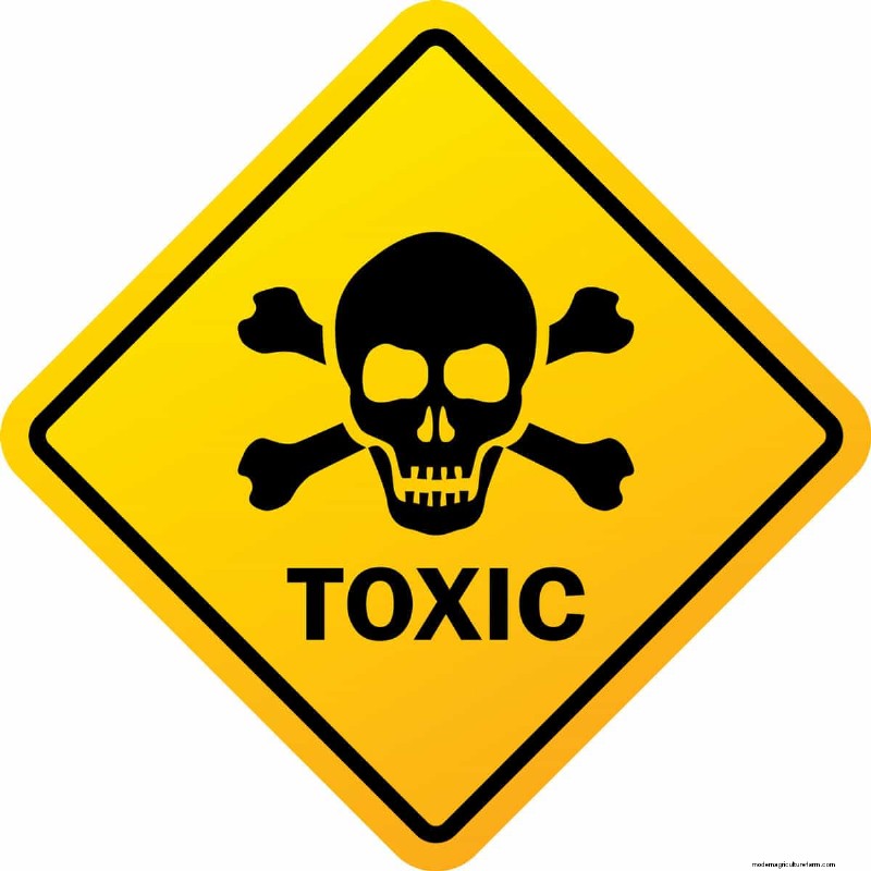 Mixing Roundup & Diesel Fuel: Risks & Precautions